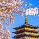 CW-1665-01 이미지