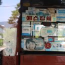 청인한약방 티스토리