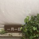 일월일일스튜디오 이미지