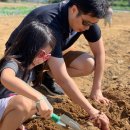 서호농장 이미지