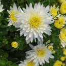 엠마우스요양병원 이미지