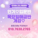 [해금레슨] 입문-초급단기간마스터반 모집/누구나 쉽고 즐겁게 해금배우기! 레슨실내 해금무료대여/원장선생님직강 이미지