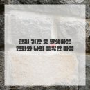 제 일 | 제 입속에 벌어진 일들! 치아교정 리얼 후기 공개해요