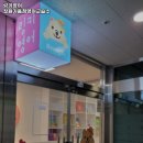 링키영어창원영어교습소