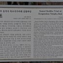 진주 응석사 목조석가여래삼불좌상 이미지