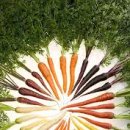 신출한의원 이미지