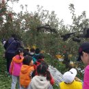 사월1리 이미지