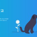 충청남도 금산군 진악지구대 | 25. 12. 04 유기동물 등록현황(공고 89마리, 보호중 5마리)