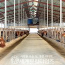 희망축산농장 이미지