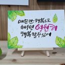 나무랑캘리랑