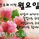 369 이미지
