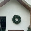 메리도그하우스 이미지