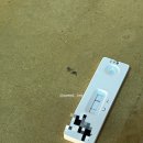 조장호이비인후과의원 이미지