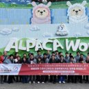 대상투어 이미지