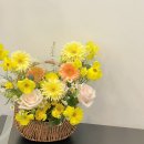 커들리플라워 - 부산진구 서전로 19 | 커들리플라워