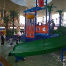 청용태권도장 이미지