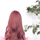 어반케어 이미지