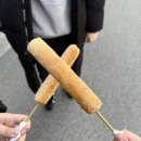팬더리아 이미지