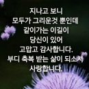 타마