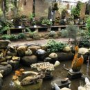 자연예술랜드 이미지