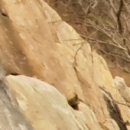 주식회사 더클린산업 이미지