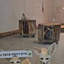 고양로봇박물관 이미지