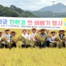 풍년