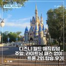 경보 월드 | 디즈니 월드 매직킹덤 실전 팁 : 혼잡도 7, 라이트닝 패스 없이 트론 2회 탑승 후기