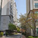 서강부동산중개 이미지