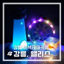 강릉;앨리스 이미지