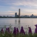 용산-이촌-495 이미지