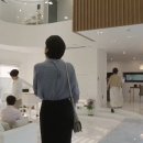 집우집주 이미지