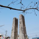 홍성천으로 돌아온 이미지