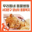 우리동물병원 | 서대문구 ‘우리동네 동물병원’으로 댕냥이 의료비 지원 받기!