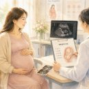 파수식품 | [임신 주차별 가이드]36주｜출산이 가까워지는 시기, 태동과 분만 신호를 꼭 살펴보세요