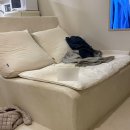 뮤튼롤 | 강릉여행 주문진 유럽풍 숙소 뮤튼롤 내돈내산 후기!!