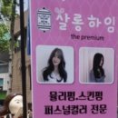 베이직살롱 이미지
