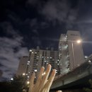 피티박스(PT BOX) | 가양역피티 결혼준비pt 후기｜피지컬박스 3주차 운동 기록