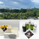 향기나라 화장품 | 태국 화장품 탄 THANN 트래블세트 시소 오일프리 선스크린