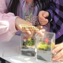 내 책상위의 작은 숲 테라리움 이미지