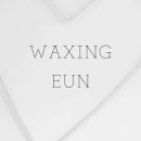 in_waxing 이미지