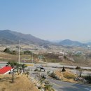 벨로무인텔 이미지