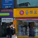 뽑아브러 네이버블로그