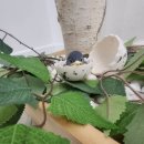 연세고든병원 | 부산안마바우처 제공기관 고든지압원 2026년 안마바우처모집, 직접 신청하고 받은 후기