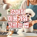 강아지 미용가위 고르는 법과 추천 제품 총정리: 처음부터 끝까지 완벽 가이드