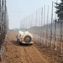 서산시농업기술센터 이미지