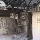 울 엄마 손칼국수 이미지