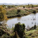 낙동강자전거길5 이미지