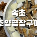 조양곱창구이 이미지