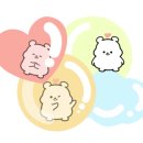 아이굿안경 이미지